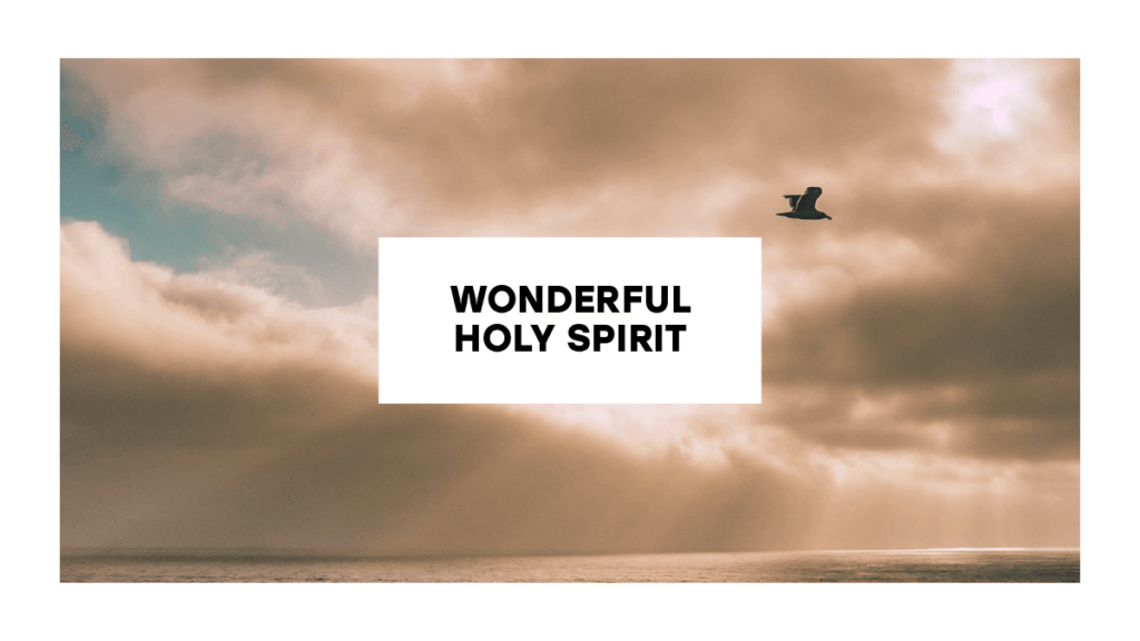 Wonderful Holy Spirit