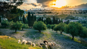 Israel Mountain