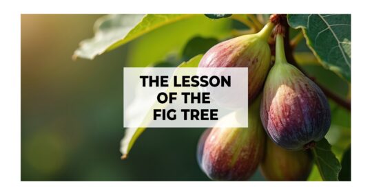 The Lesson of the Fig Tree